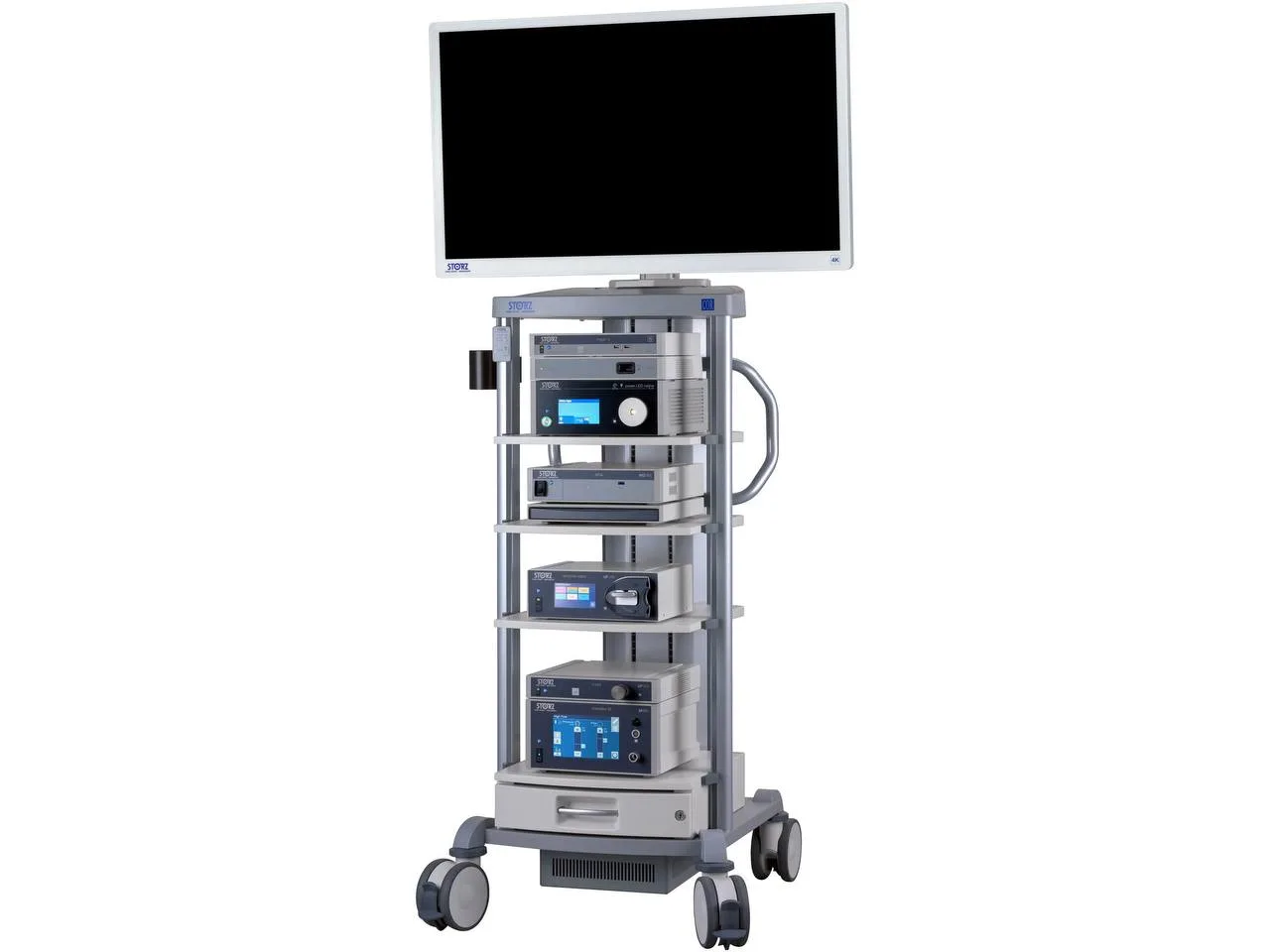 Карл Шторц ИЗОБРАЖЕНИЕ 1 С Рубин